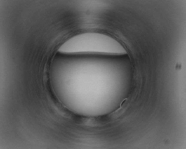X0000093520074200710121137