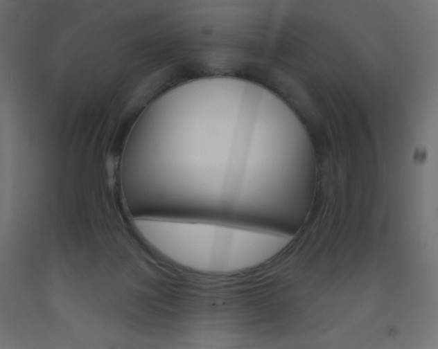 X0000093520075200710121137