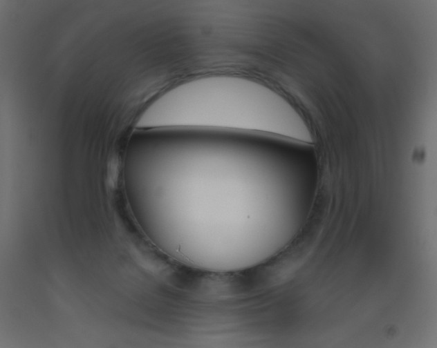 X0000093520076200710121137