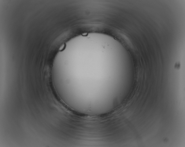 X0000093520077200710121137