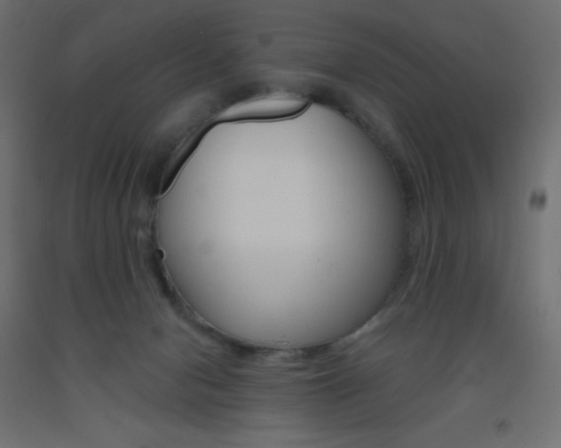 X0000093520078200710121137