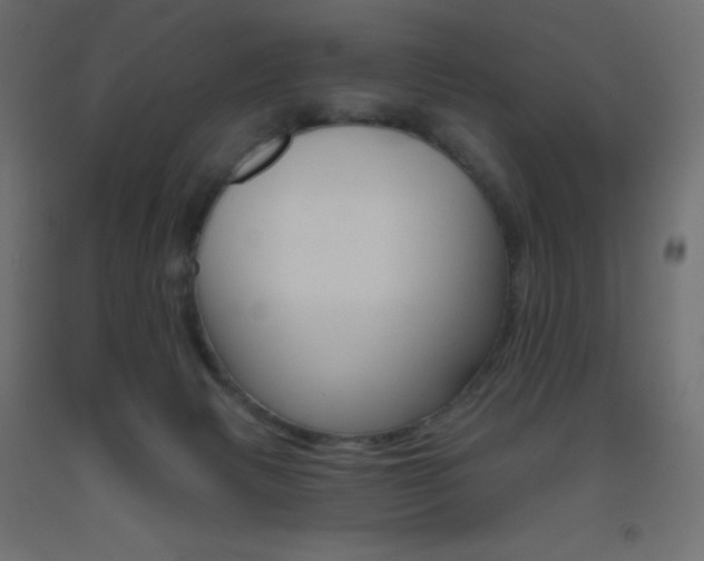 X0000093520079200710121137