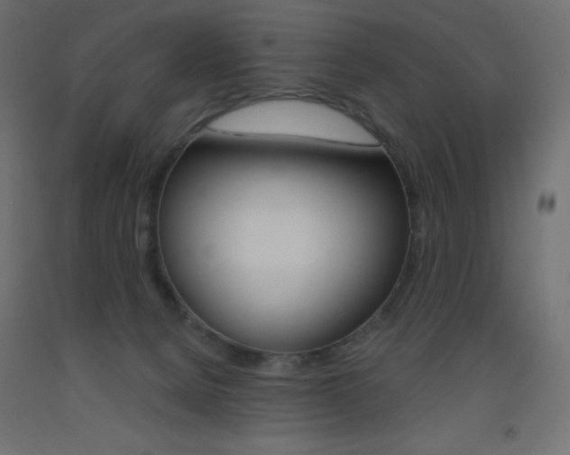 X0000093520080200710121137
