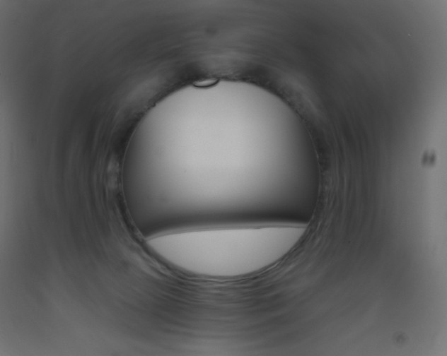 X0000093520081200710121137