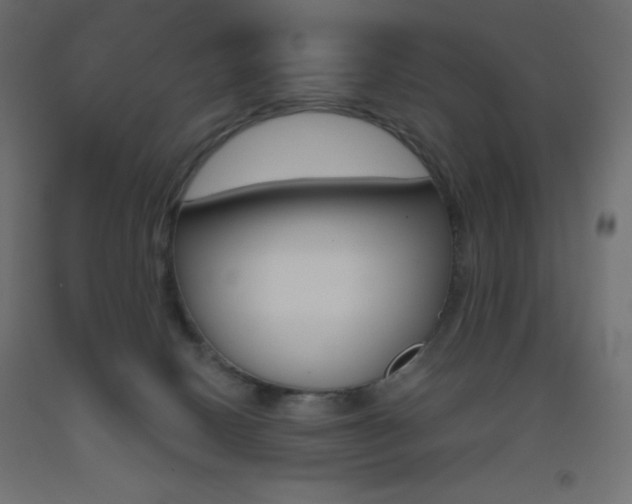 X0000093520082200710121137