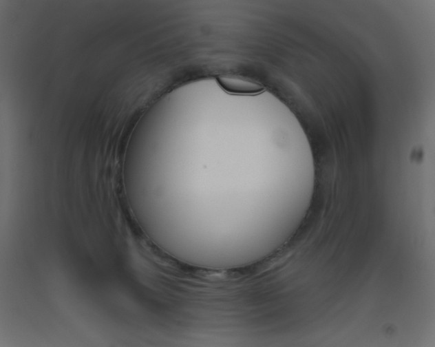 X0000093520083200710121137