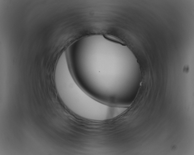 X0000093520084200710121137