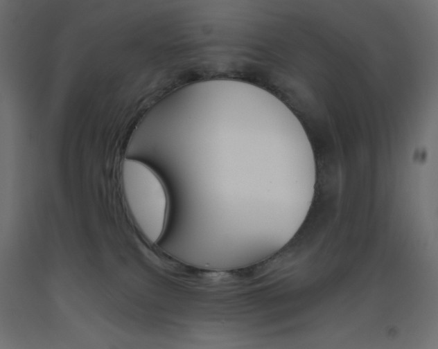 X0000093520087200710121137