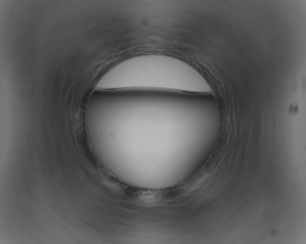 X0000093520088200710121137