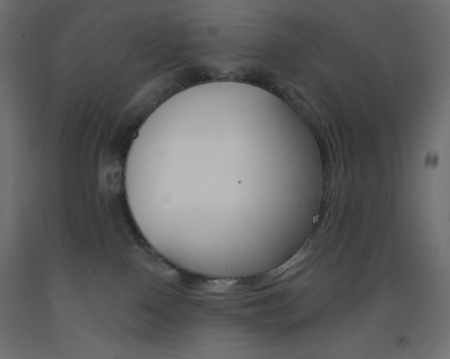 X0000093520090200710121137