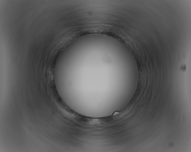 X0000093520091200710121137