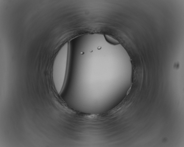 X0000093520092200710121137