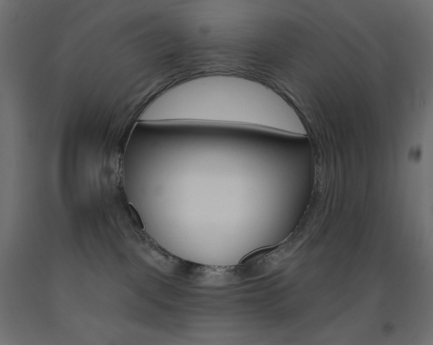 X0000093520093200710121137