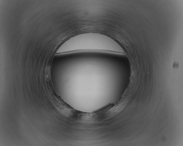 X0000093520096200710121137
