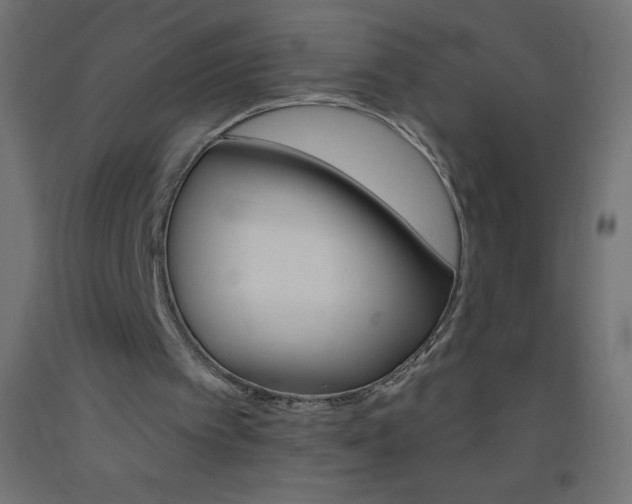 X0000093520097200710121136