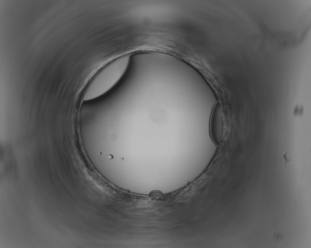 X0000093520098200710121136