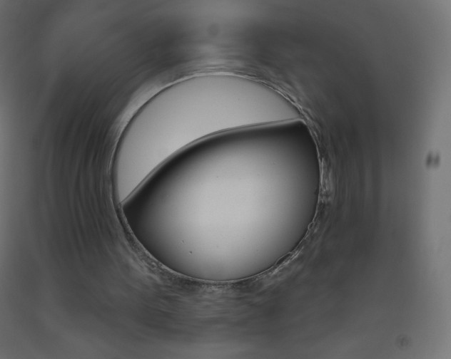 X0000093520099200710121136
