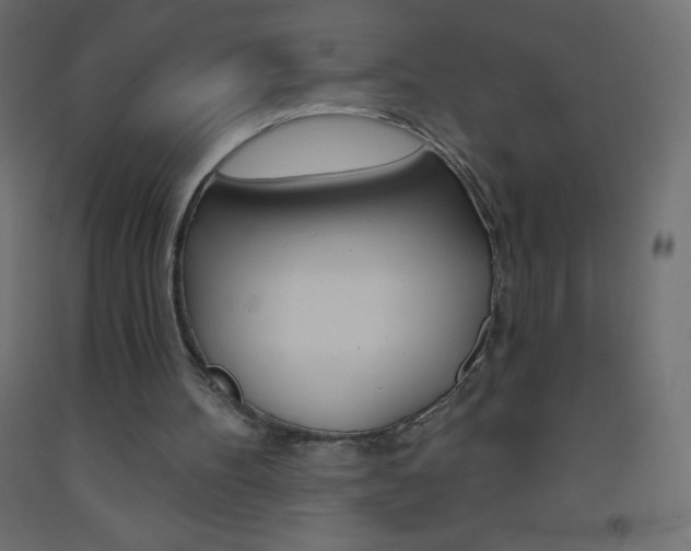 X0000093520100200710121136
