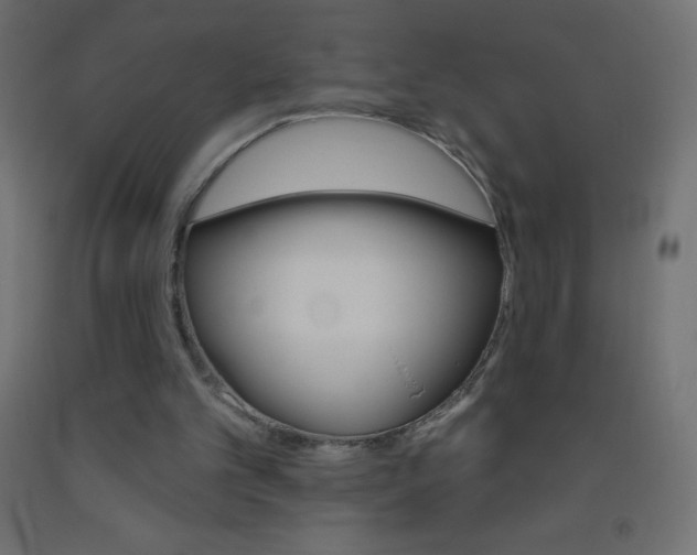 X0000093520101200710121136