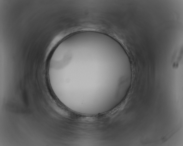 X0000093520102200710121136