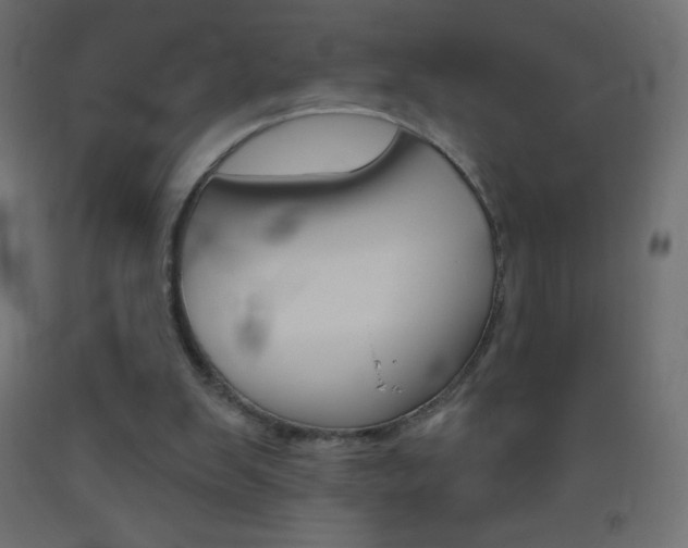 X0000093520103200710121136