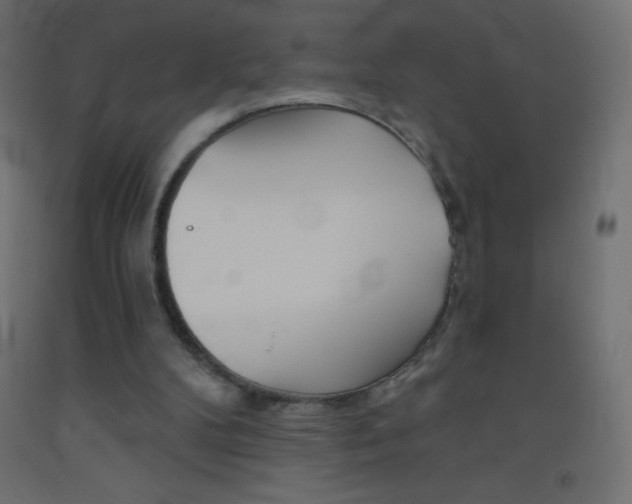 X0000093520104200710121136