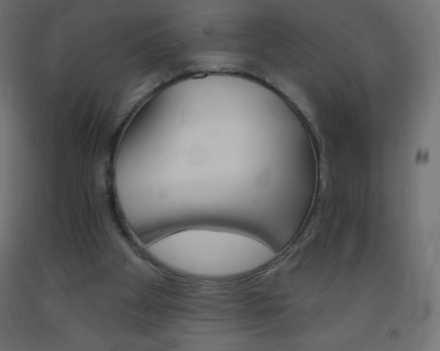 X0000093520105200710121136