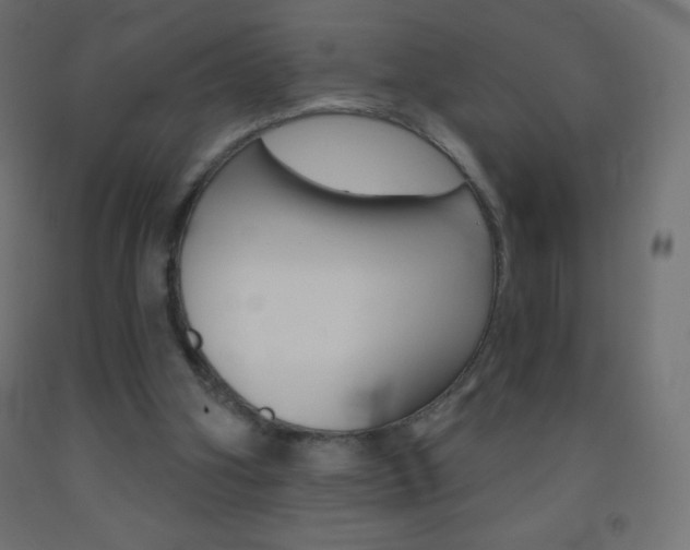 X0000093520106200710121136
