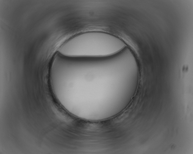 X0000093520107200710121136