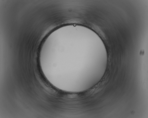 X0000093520108200710121136