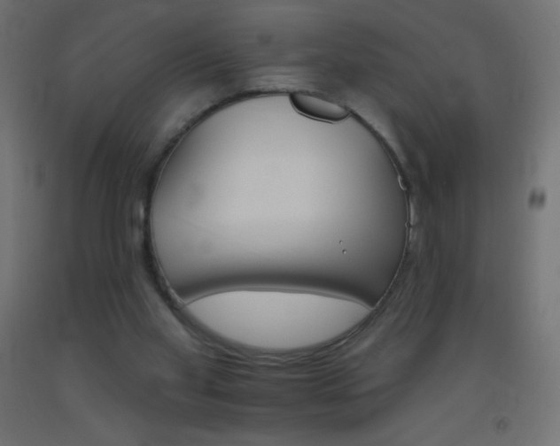 X0000093520109200710121136