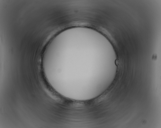 X0000093520110200710121136