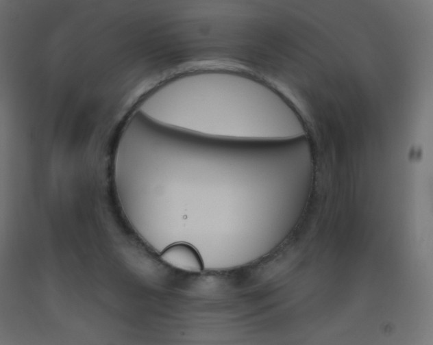 X0000093520111200710121136