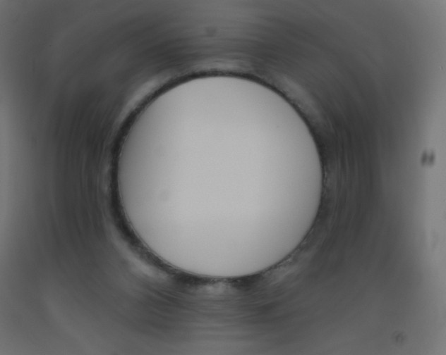 X0000093520112200710121136