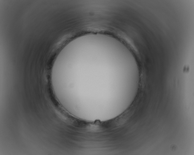 X0000093520114200710121136