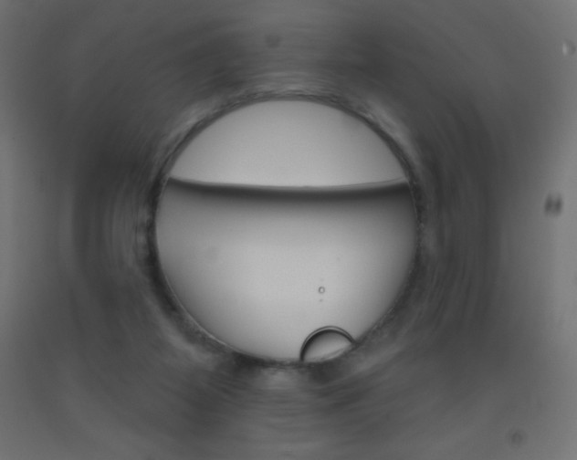 X0000093520115200710121136