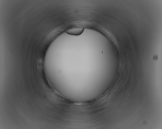 X0000093520117200710121136