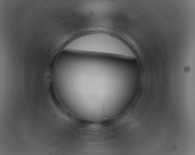 X0000093520119200710121136