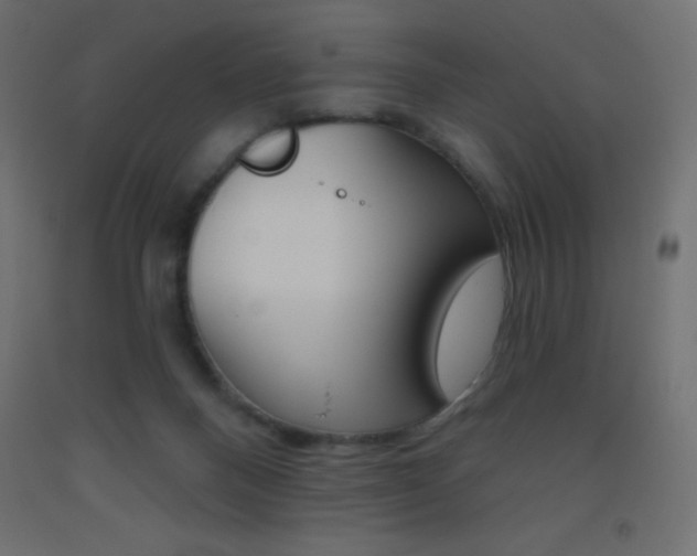 X0000093520120200710121136
