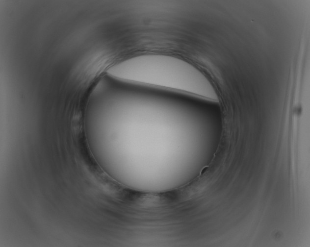 X0000093520123200710121136