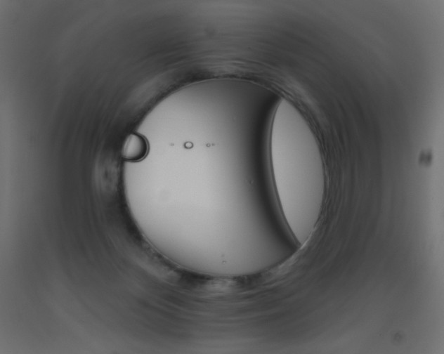 X0000093520124200710121136
