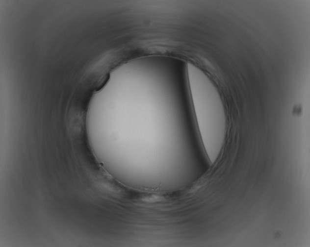 X0000093520125200710121136