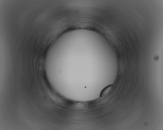 X0000093520126200710121136