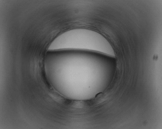 X0000093520127200710121136