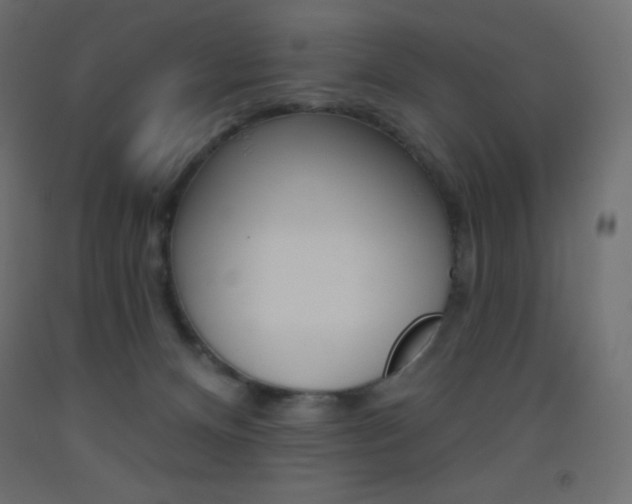 X0000093520128200710121136