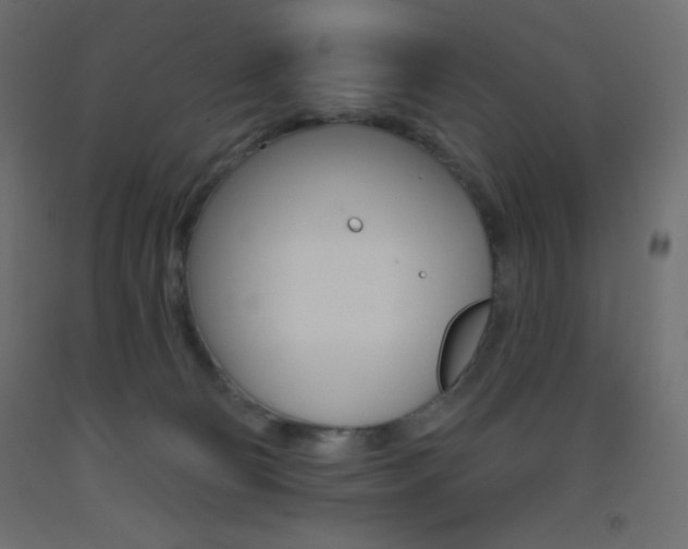 X0000093520130200710121136