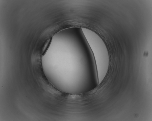 X0000093520137200710121136