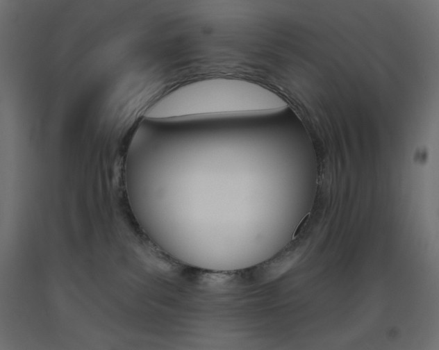 X0000093520139200710121136