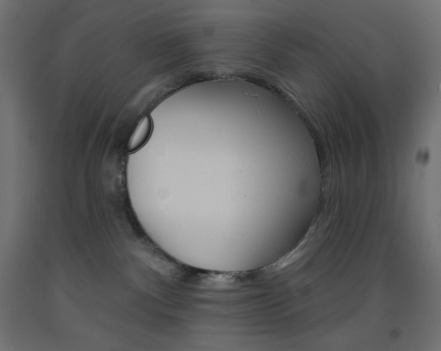 X0000093520140200710121136