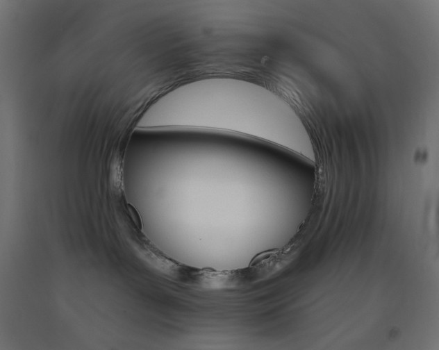 X0000093520143200710121136